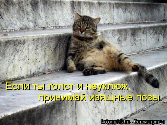 4743317_UO (550x412, 56Kb)