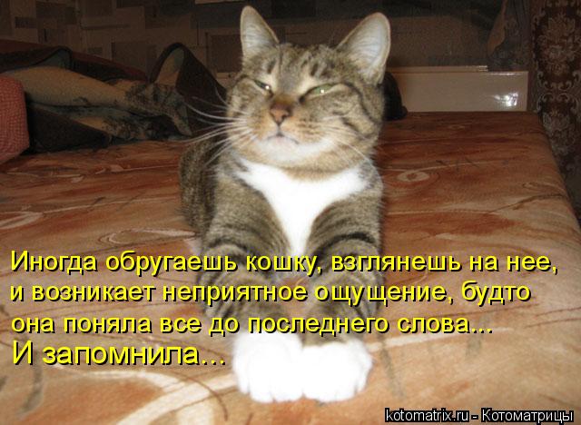 4743317_p (640x468, 59Kb)