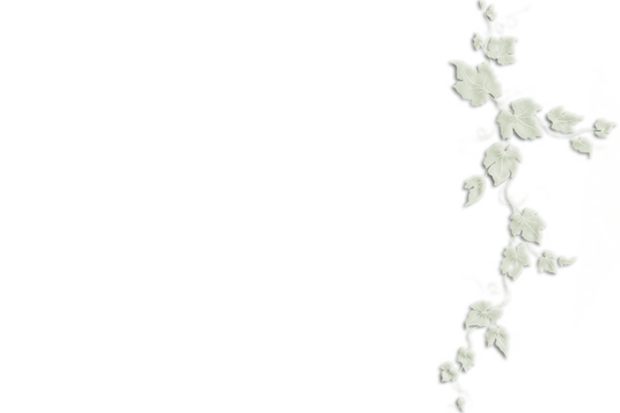 4_2214174 (700x466, 126Kb)