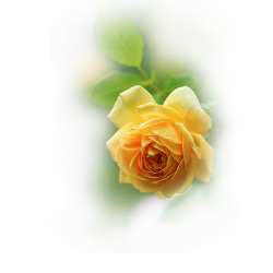 349f0edbe6a929d94.th (250x250, 71Kb)