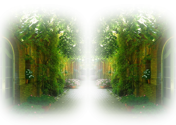 1_2179066 (700x500, 768Kb)