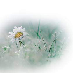 283f63fdf82a16866.th (250x250, 88Kb)