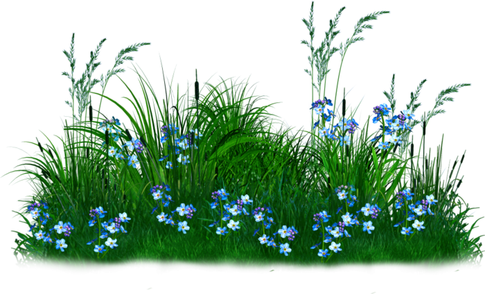 BEAUTY_DBJ11_2262276 (700x425, 455Kb)