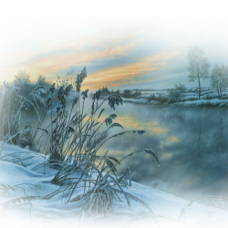17669f5e438f2c894.th (250x250, 131Kb)
