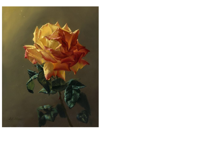 44bb7v (700x560, 189Kb)