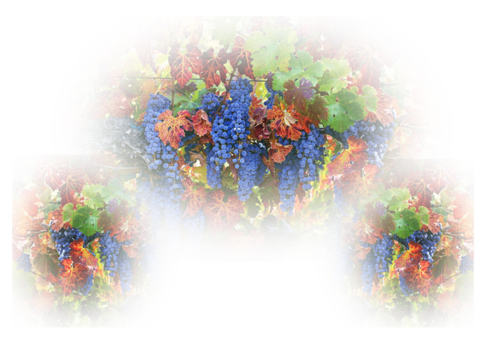 tzrt456567 (700x490, 687Kb)