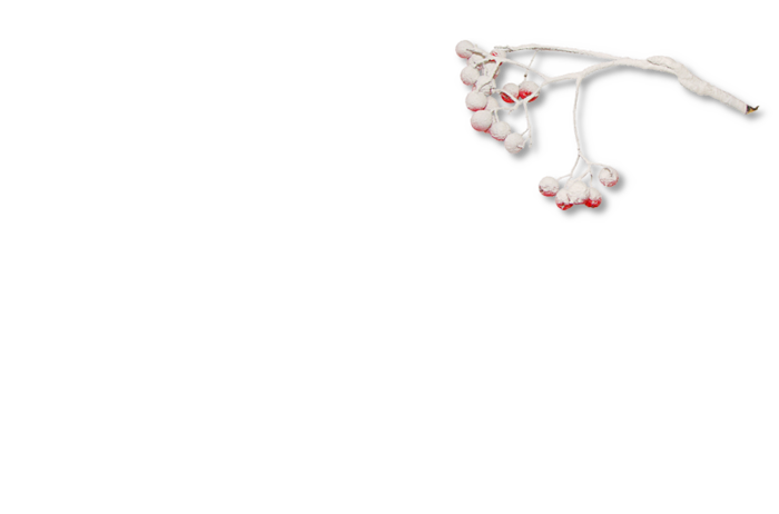 45vb6t (700x462, 42Kb)