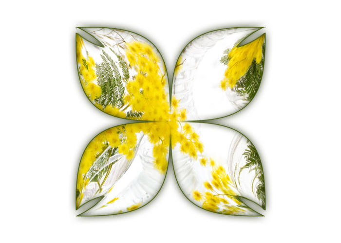 5ffgh66 (700x500, 269Kb)