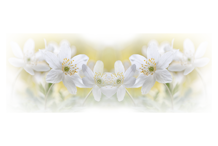 09119 (700x468, 292Kb)