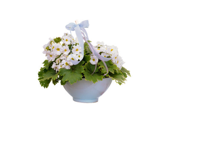ztre (700x466, 126Kb)