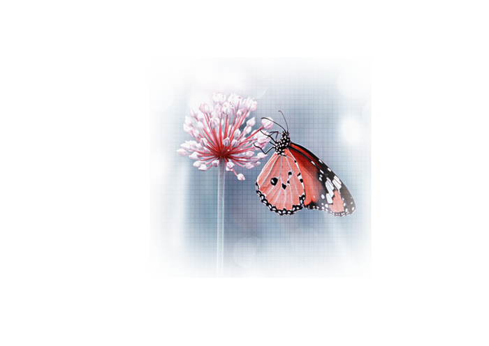 455tttt (700x496, 200Kb)