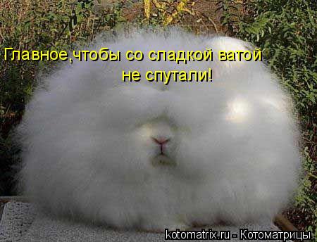 4743317_w4 (450x344, 30Kb)