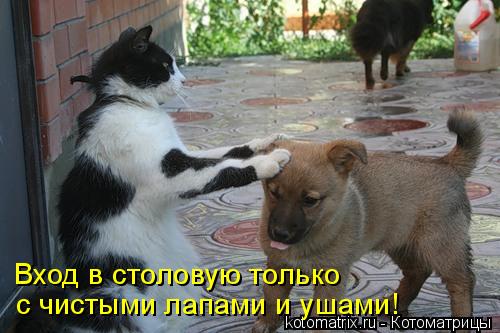 4743317_P3Y (500x333, 37Kb)