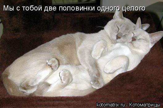 4743317_ld (528x350, 31Kb)
