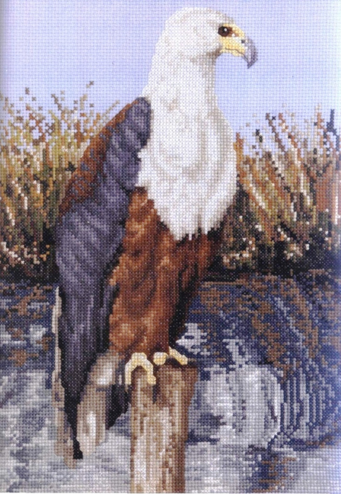 SdMyjGhJWsM (483x700, 432Kb)