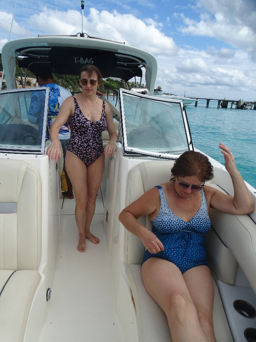 DSC00555 (525x700, 385Kb)