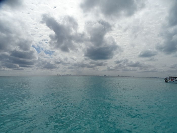 DSC00561 (700x525, 305Kb)