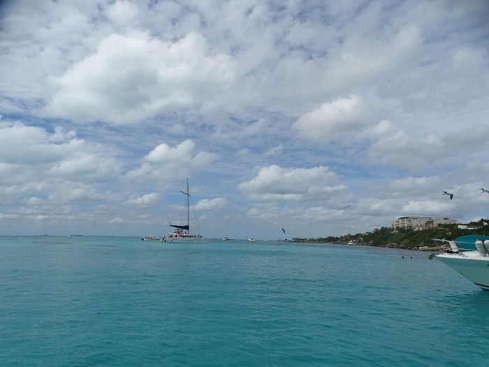 DSC00563 (700x525, 303Kb)