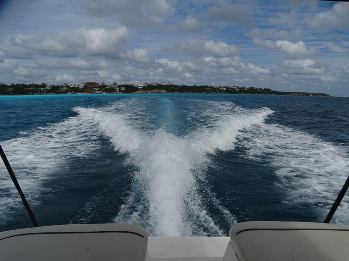 DSC00568 (700x525, 346Kb)
