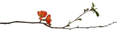 5840010_137494473_4199468__3_ (427x109, 17Kb)