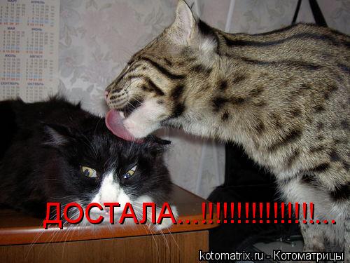 4743317_UdT (500x375, 40Kb)