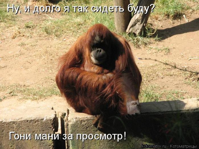 4743317_EA (700x524, 81Kb)