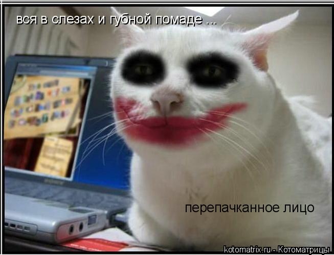 4743317_zW (653x500, 41Kb)