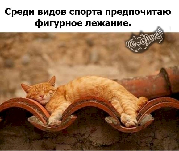 4743317_a8fa7c68 (580x491, 58Kb)