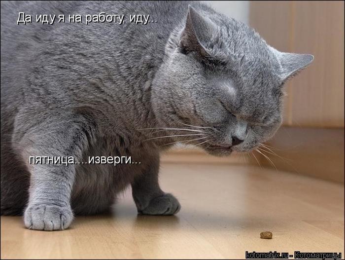 4743317_Q_1 (700x527, 63Kb)