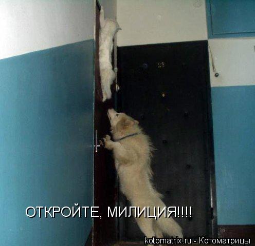 4743317_lq (496x480, 26Kb)