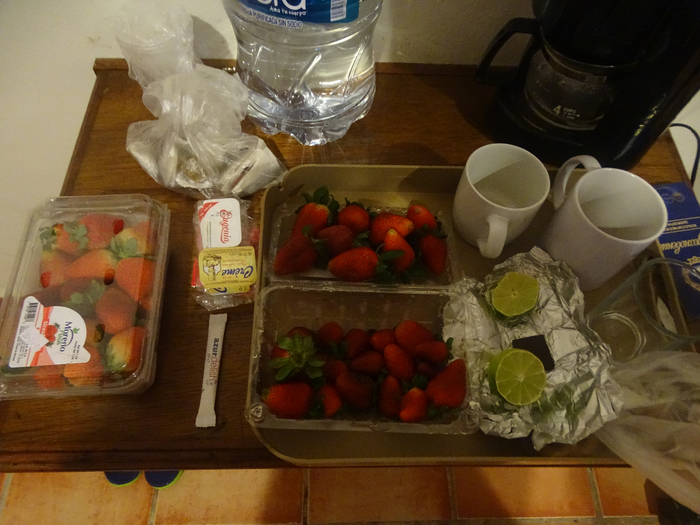 DSC00657 (700x525, 394Kb)