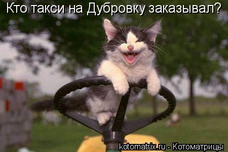 4743317_Mx (450x300, 24Kb)