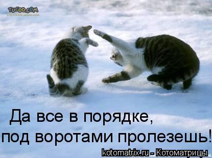 4743317_Hn (415x310, 23Kb)