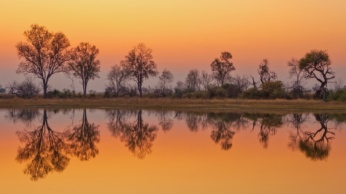 Dawn approaches the Okavango Delta, Botswana (700x393, 243Kb)