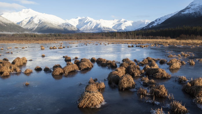 Early winter view of frozen marshland near Girdwood, Turnagain Arm, Alaska, USA (700x393, 311Kb)
