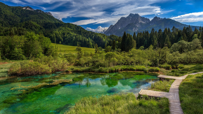 Lake and forest in Zelenci Springs nature reserve, Kranjska Gora, Upper Carniola, Slovenia (700x393, 421Kb)