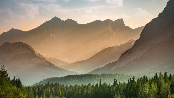 Mist rising over the forest in Banff National Park in Alberta (700x393, 278Kb)