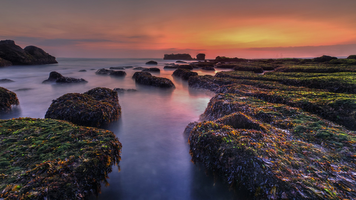 Moss on the rock at Nyanyi Beach at low tide, Bali, Indonesia (700x393, 346Kb)