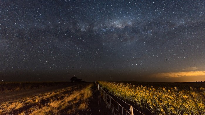 Milky way over canola field, New South Wales, Australia (700x393, 87Kb)