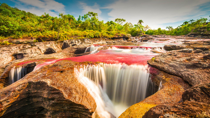 Multicolored river Caño Cristales, Serrania de la Macarena province of Meta, Colombia (700x393, 496Kb)