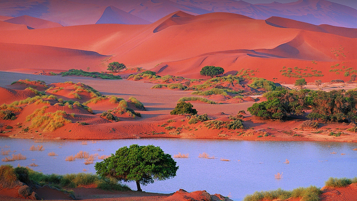 Namib Desert sand dunes scenery, Sossusvlei, Namibia (700x393, 450Kb)