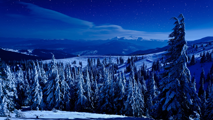 Night view of winter deep forest on hills covered with snow (700x393, 426Kb)