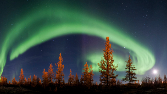 Northern lights or aurora borealis, Tyumen Region, Russia (700x393, 287Kb)