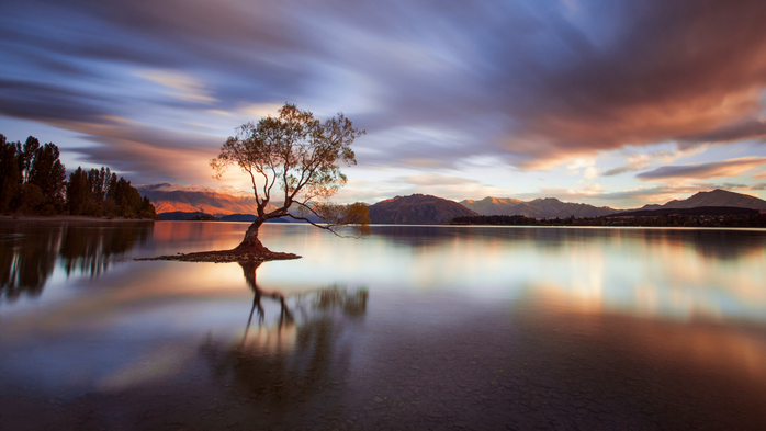 One Calm Tree, morning at Lake Wanaka, New Zealand (700x393, 272Kb)