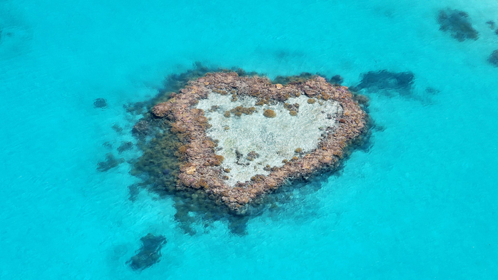 Photography of the Heart Reef on a scenic flight over the Great Barrier Reef (700x393, 286Kb)