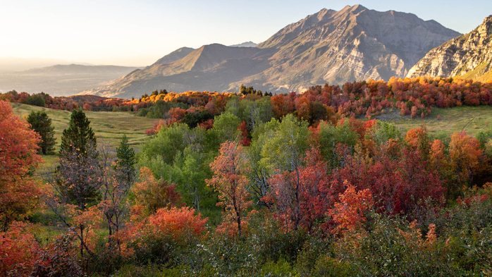 Picturesque valley with a view of Squaw Peak in autumn in the background, Utah, USA (700x393, 452Kb)