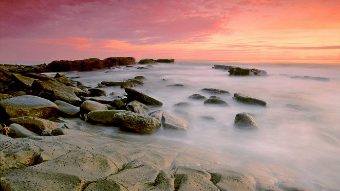 Point Fermin Moonscape, San Pedro, California (700x393, 322Kb)