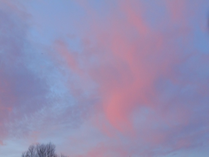 4533467_DSCN5190 (700x526, 39Kb)
