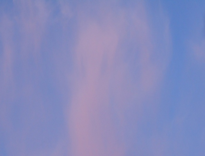 4533467_DSCN5192 (700x531, 38Kb)