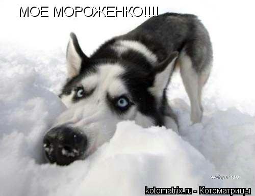 4743317_7x (500x385, 21Kb)